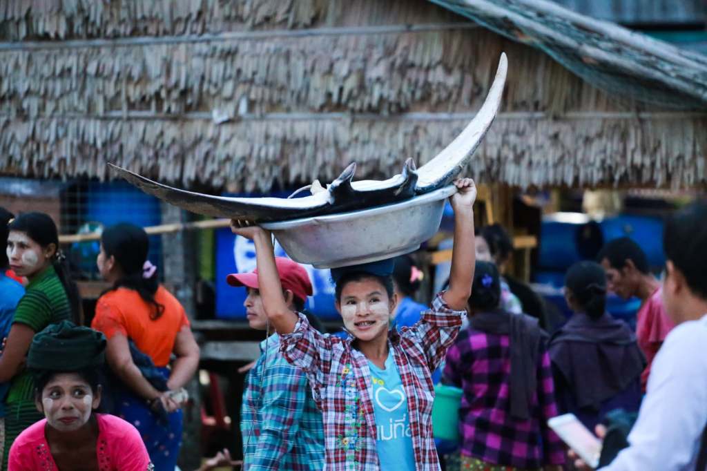 Dawei under Conflict: Special Economic Zones, Armed Conflict, Geopolitical Intervention, and Greenwashing